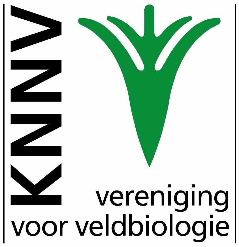 Image result for knnv
