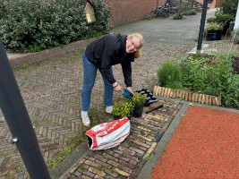 Afbeelding 2 groter tonen