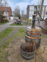 Afbeelding 1 groter tonen