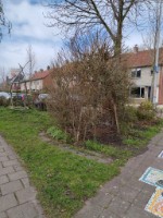 Afbeelding 2 groter tonen