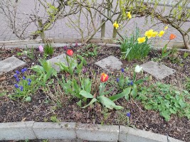 Afbeelding 3 groter tonen
